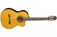 Takamine GC5CE NAT: 1