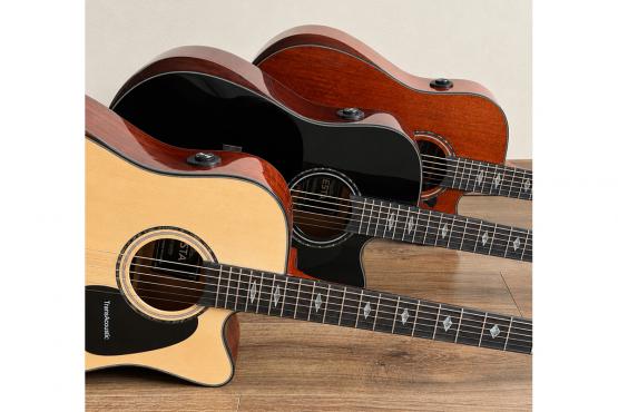 Fiesta FS-46 NT EQ TransAcoustic: 4