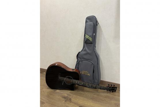 Fiesta FS-46 BK EQ TransAcoustic: 5