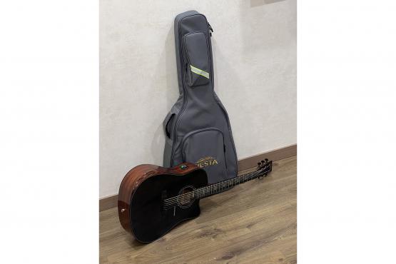 Fiesta FS-46 BK EQ TransAcoustic: 4