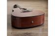 Fiesta FS-46 BR EQ TransAcoustic: 5