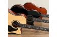 Fiesta FS-46 BR EQ TransAcoustic: 4
