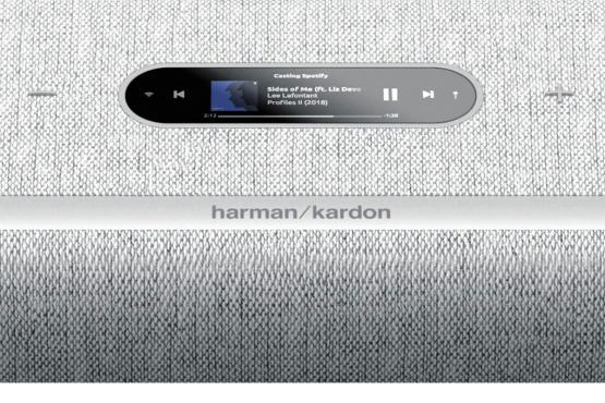 Harman Kardon Citation Multibeam 1100 Grey: 4