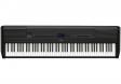 Yamaha P-525 (Black): 1