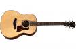 Taylor Guitars AD17e: 1