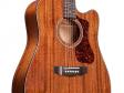 Guild D-120CE (Natural): 6
