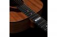 Godin Metropolis Composer LR Baggs Element: 4
