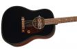 Gretsch Deltoluxe Dreadnought Black: 2