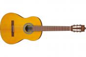 Ibanez GA3 OAM