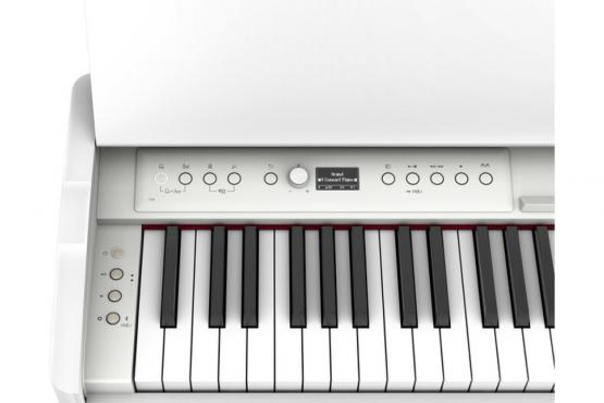 Roland F701 WH: 4
