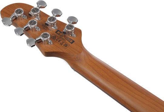 Ibanez ICHI00-VWH: 5