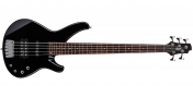 Cort Arona 5 (BK)