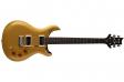 PRS SE DGT (Gold Top): 1