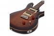 PRS SE Custom 24 (Black Gold Burst): 2