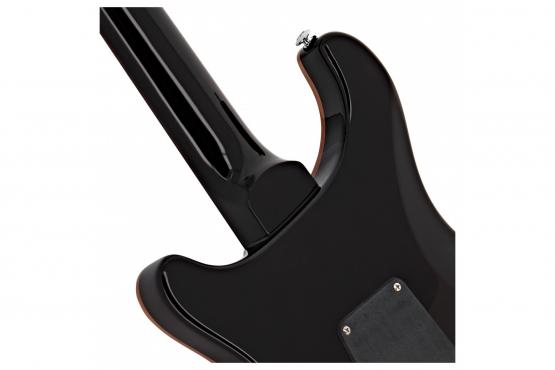 PRS SE Custom 24 (Black Gold Burst): 3