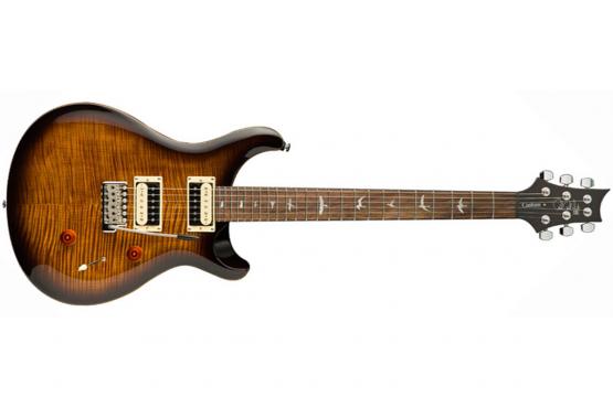 PRS SE Custom 24 (Black Gold Burst): 1