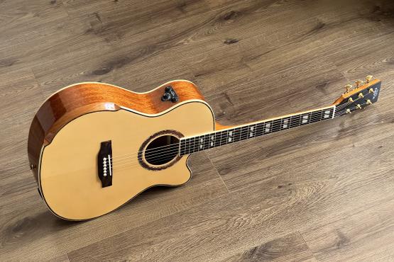 Fiesta WEST 40" TransAcoustic: 2