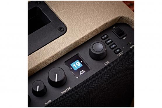 Fender Mustang LT25 Blonde: 4