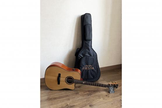 Fiesta D2 TransAcoustic NT: 4