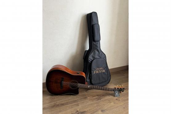 Fiesta D2 TransAcoustic SB: 4