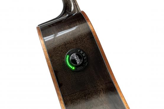 Fiesta D2 TransAcoustic BK: 2