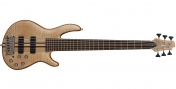 Cort A6 (OPN)
