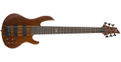 LTD D6 (NS)