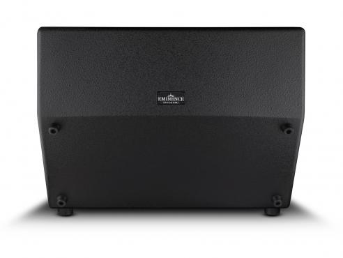 Ampeg PN-210HLF: 4