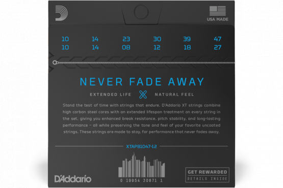 D`Addario XTAPB1047-12 PHOSPHOR BRONZE LIGHT 12-STRING (10-47): 2