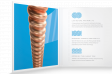 D`Addario XSAPB1047-12 XS PHOSPHOR BRONZE EXTRA LIGHT 12-STRING (10-47): 4