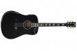 Fiesta WEST 41" TransAcoustic: 1