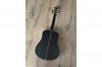 Fiesta WEST 41" TransAcoustic: 2