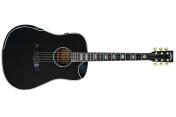 Fiesta WEST 41" TransAcoustic