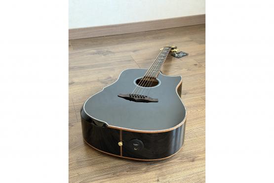 Fiesta WEST 41" TransAcoustic: 4