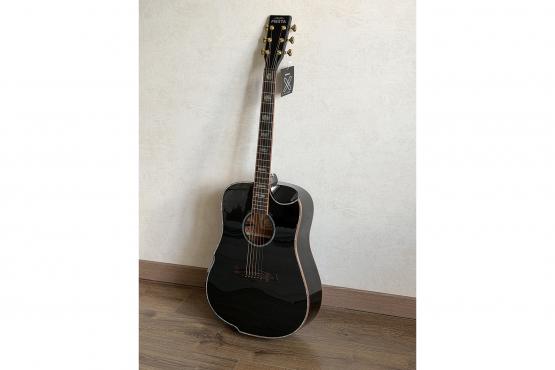 Fiesta WEST 41" TransAcoustic: 5