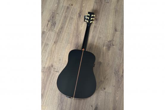 Fiesta WEST 41" TransAcoustic: 2
