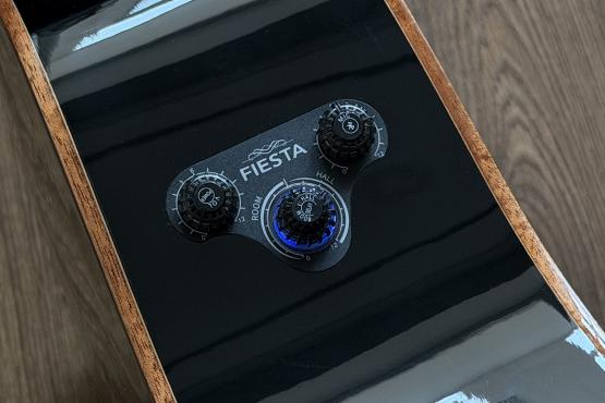 Fiesta WEST 41" TransAcoustic: 3