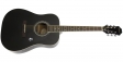 Epiphone DR-100 EB: 1