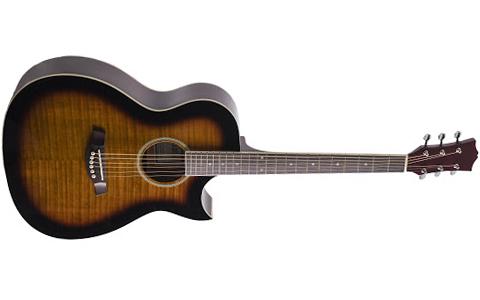 Caraya F531-BS Acoustic Guitar