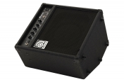 Ampeg BA-108 V2