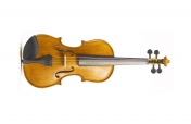 Stentor 1500/G Student II Violin OUTFIT 1/8