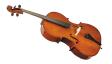 Stentor 1102/A Student I Cello OUTFIT 4/4: 1
