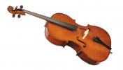 Stentor 1102/E Student I Cello OUTFIT 1/2