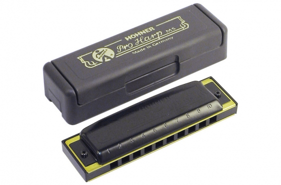 Hohner ProHarp: 1