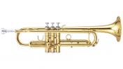 Maxtone TTC60L2 (TTC234L)