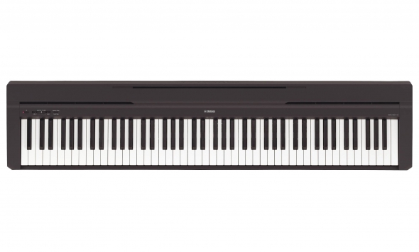 Yamaha P-45 (+блок питания): 1