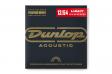 Dunlop DAP1254: 1