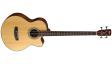 Cort SJB 5F (Natural Satin) w/bag: 1