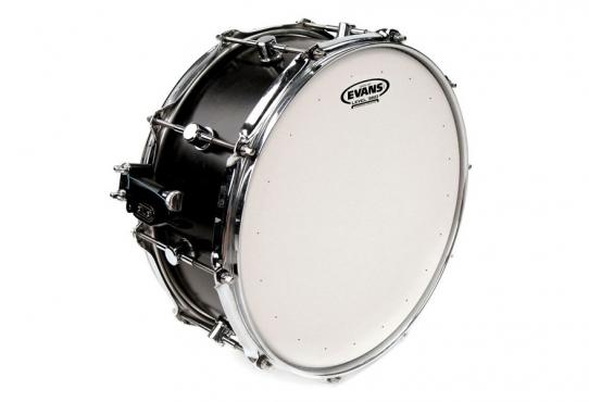 Evans B14DRY 14" GENERA DRY: 2