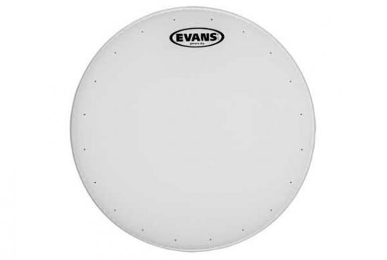 Evans B14DRY 14" GENERA DRY: 1